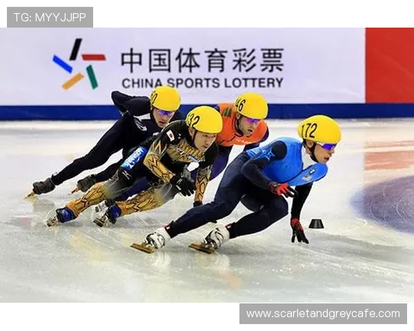 全面解析333体育平台的创新功能与用户体验提升策略