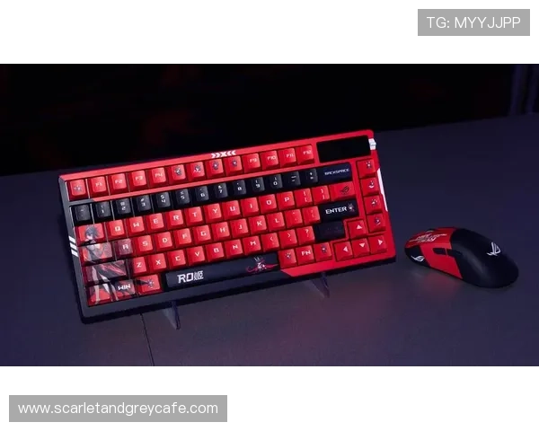 完美电竞滚球盘结合虚拟现实技术，创新电竞投注方式，带来沉浸式的博彩体验